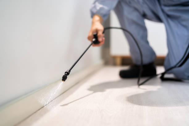 Certified termite inspector examining foundation in West Middlesex
