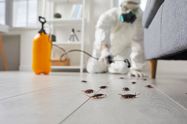 Commercial Rodent Management in West Middlesex